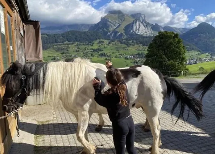 Mit Garten- Grill Und Terrasse By Interhome *