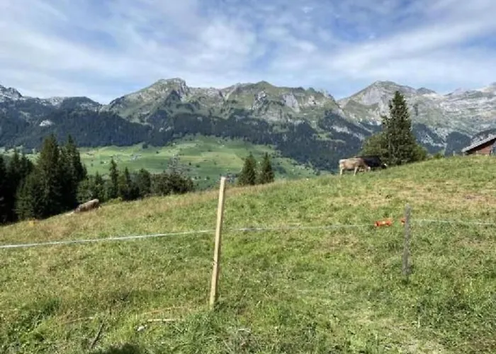 Mit Garten- Grill Und Terrasse By Interhome Hébergement de vacances *